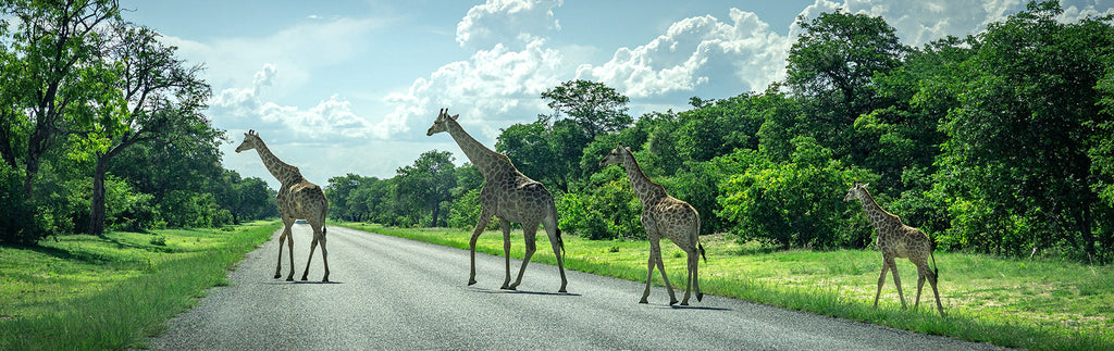Expedition Namibia 2025